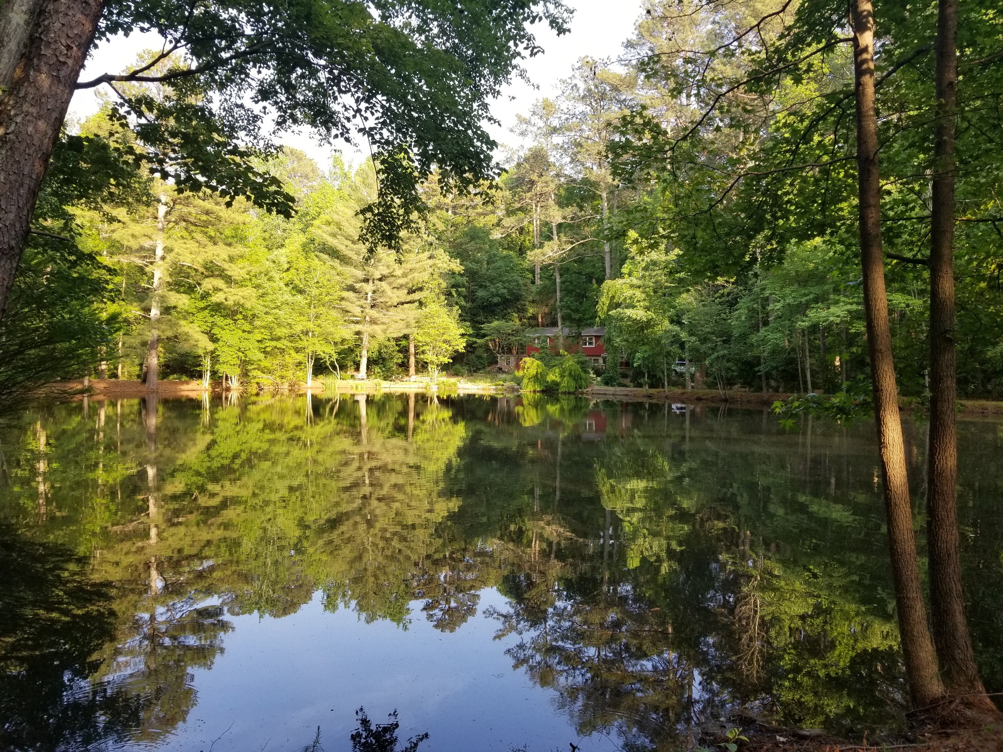 Historic wooded stock pond at Merritt's Farm